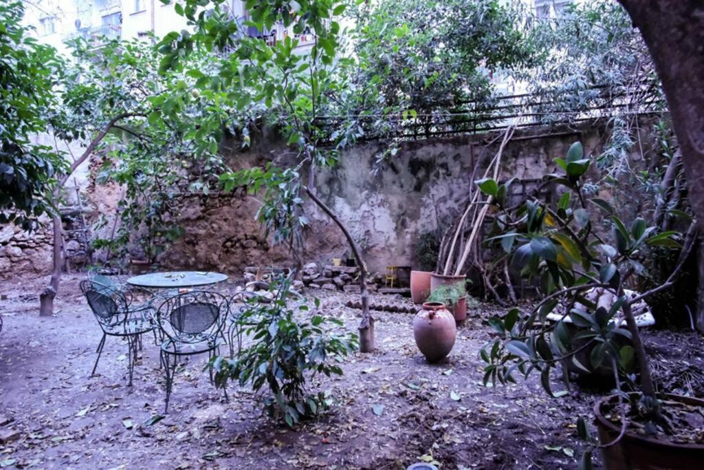 Calm And Cozy Flat With Romantic Garden Athen Eksteriør billede